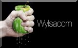 Wylsacom